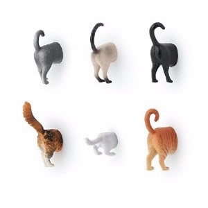 Kikkerland Cat Butt Magnets, Set of 6