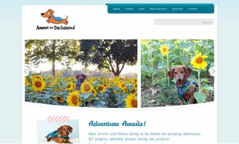 Top 47 Pet Blogs To Follow in 2024 | Pango Pets