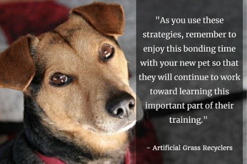 "As you use these strategies, remember to enjoy this bonding time with your new pet so that they will continue to work toward learning this important part of their training."  - Artificial Grass Recyclers