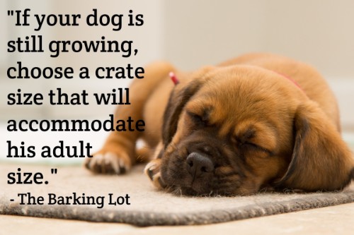 "If your dog is still growing, choose a crate size that will accommodate his adult size." - The Barking Lot