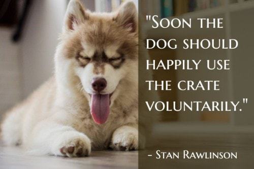 "Soon the dog should happily use the crate voluntarily." - Stan Rawlinson