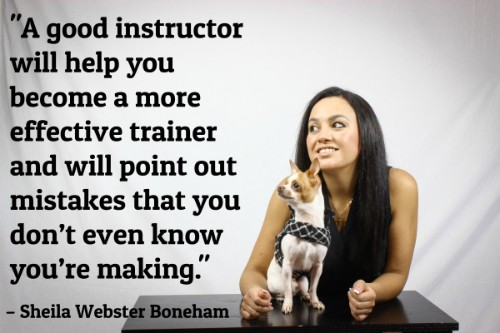 "A good instructor will help you become a more effective trainer and will point out mistakes that you don’t even know you’re making." - Sheila Webster Boneham