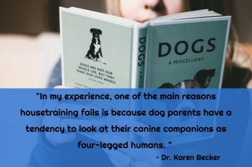 "In my experience, one of the main reasons housetraining fails is because dog parents have a tendency to look at their canine companions as four-legged humans." - Dr. Karen Becker