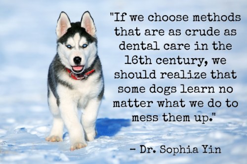 "If we choose methods that are as crude as dental care in the 16th century, we should realize that some dogs learn no matter what we do to mess them up." - Dr. Sophia Yin