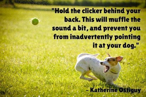 "Hold the clicker behind your back. This will muffle the sound a bit, and prevent you from inadvertently pointing it at your dog." - Katherine Ostiguy