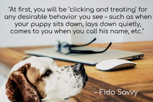 "At first, you will be 'clicking and treating' for any desirable behavior you see - such as when your puppy sits down, lays down quietly, comes to you when you call his name, etc." - Fido Savvy