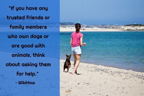 "If you have any trusted friends or family members who own dogs or are good with animals, think about asking them for help." - WikiHow