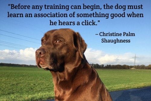 "Before any training can begin, the dog must learn an association of something good when he hears a click." - Christine Pam Shaughness