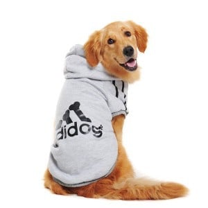 Adidog Dog Hoodies