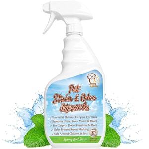 Sunny & Honey Pet Stain & Odor Miracle