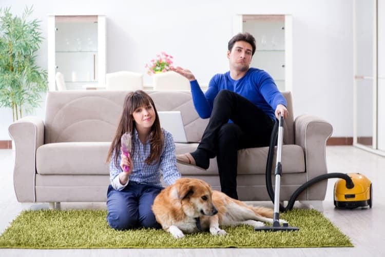 The Best Vacuums for Pet Hair in 2022 