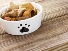 The Best Dog Bowls