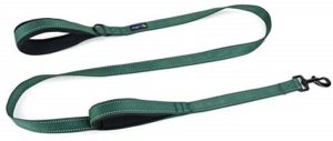 Waggin Tails Soft and Thick Dual Handle Dog Leash