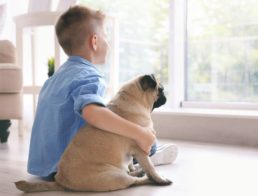 The Best Pets for Kids