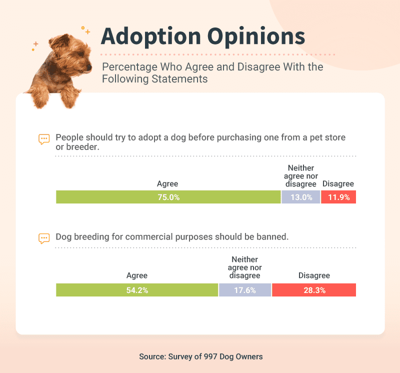 Adoption Opinions