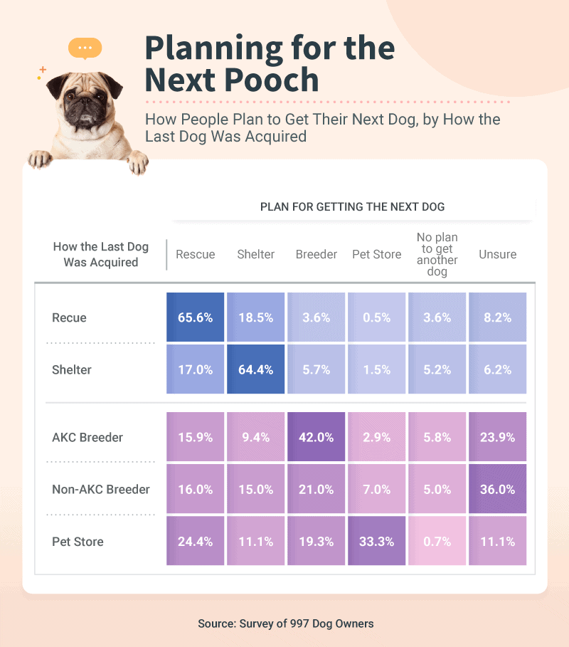 Planning for the next pooch
