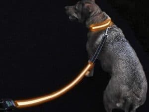 GlowHERO LED Light Up Dog Leash