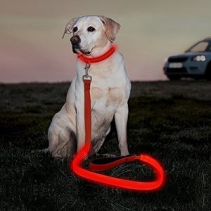 Illumenfun LED Dog Leash