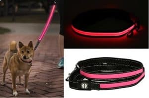 Little Light Lab Light Up LED Lighted Dog Leash