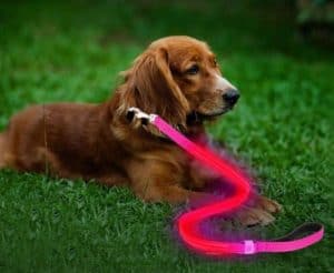 Moco Best Light Up Rechargeable 2 Strip LED Nylon Dog Leash