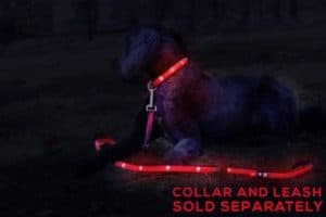 Tuff Tails LED Lightning Dog Leash