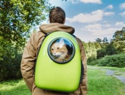 The Best Cat Backpacks