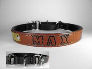 Haigler and Wallace Personalized Martingale Dog Collar