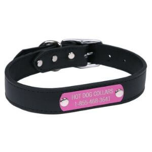 Hot Dog Collars Personalized Leather Dog Collar