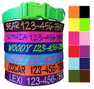 Mix Paws, Personalized Dog Collar
