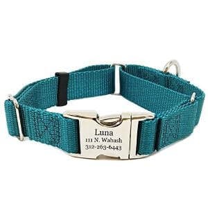 Rita Bean Engraved Buckle Personalized Martingale Dog Collar