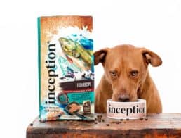 Inception Dog Food Review
