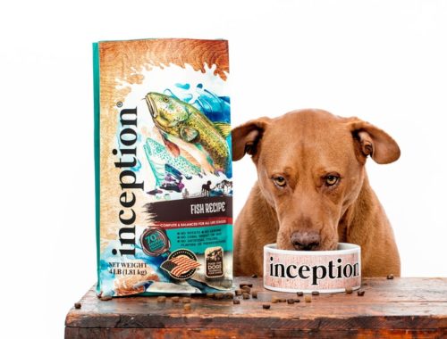Inception Dog Food Review