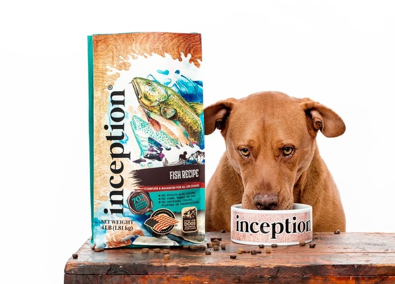 Inception Dog Food 2024 Review Pros, Cons & Verdict Pango Pets