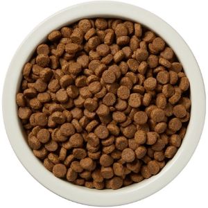 Top view of Wag Dry Dog Food in a bowl