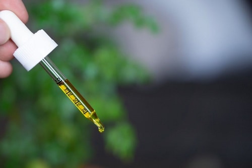 CBD oil provides health benefits for cats