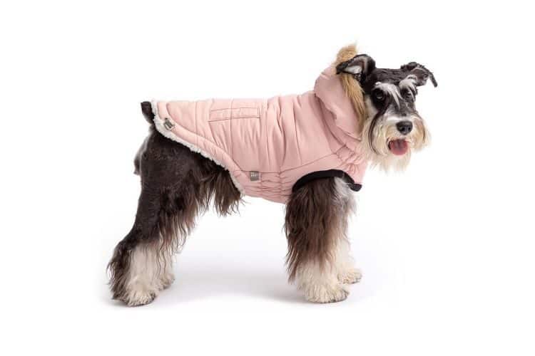 Dog wearing a pink Muttropolis City Parka Dog Jacket