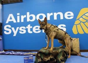 Airborne Systems dog parachute harness1