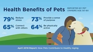 Health benefits of pets infograph