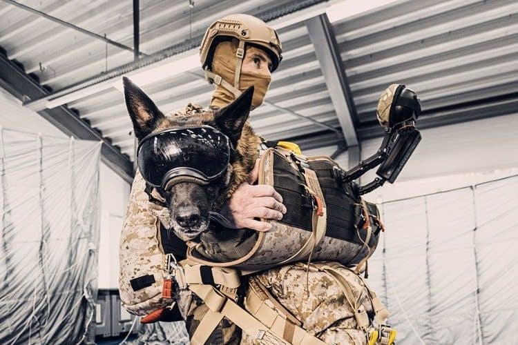 K9F dog parachute, dog with handler