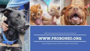 ProBoneO Vet Clinic