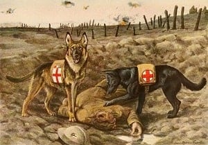 two war dogs helping a wounded soldier