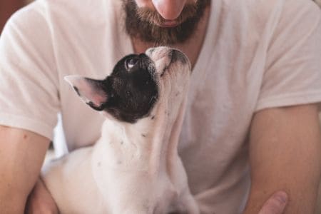 Avoid face-to-face contact with your pet if you have COVID-19