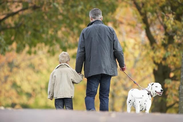 Man and young son walking a Dalmatian