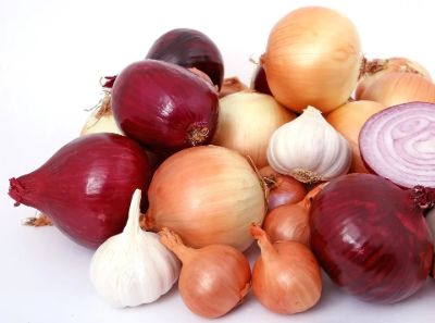 onions and garlic are toxic to pets
