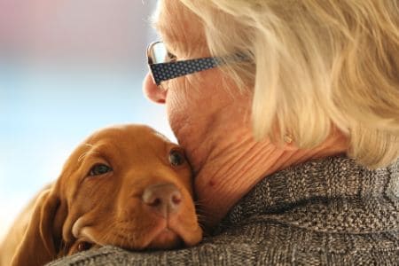 1 in 10 older Americans got a pet in 2020