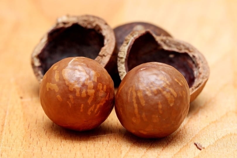 Macadamia nuts on a table