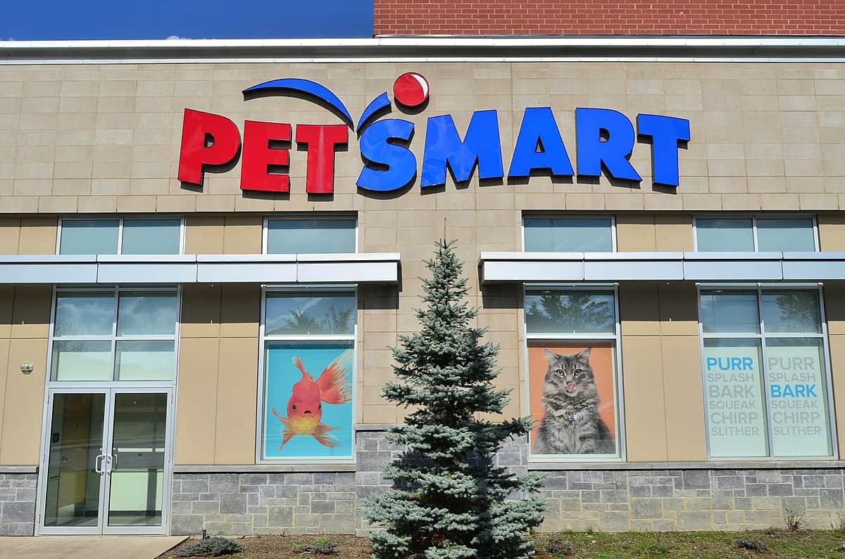 Are Dogs Allowed in PetSmart? What You Need To Know! Pango Pets