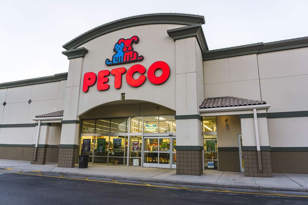 How Much Are Cats at Petco? Does it Vary State to State? Pango Pets