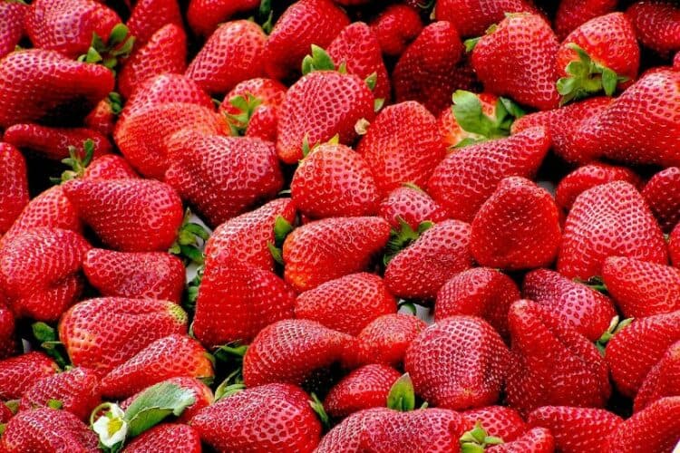 a bunch of strawberries