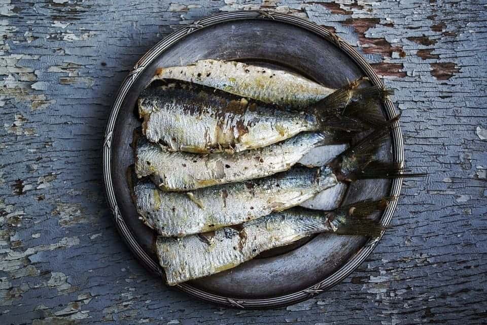 cooked sardines